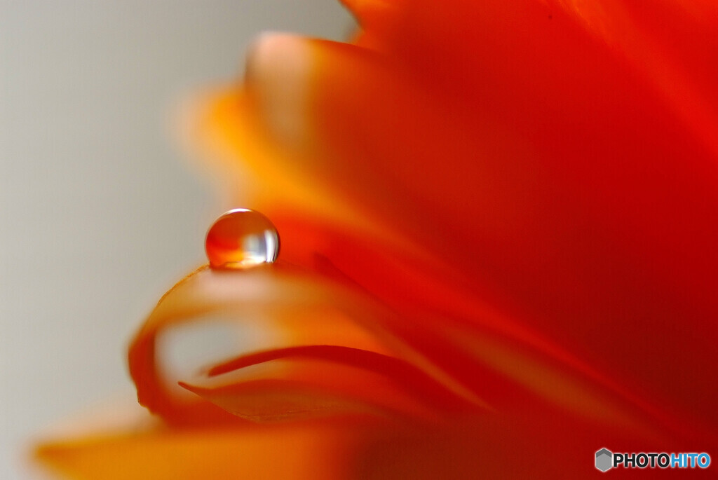 睦月の輝き❁雫