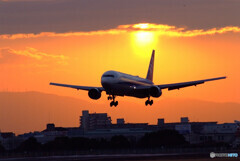 January beautyⅡ✈2022翼