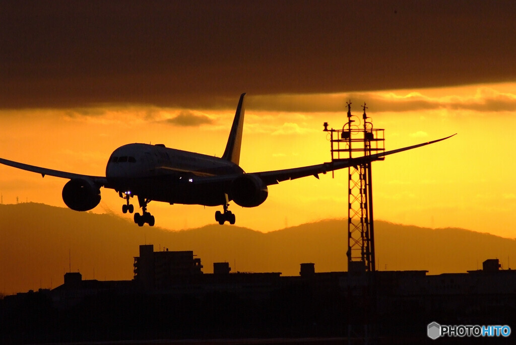 漆黒の翼✈787-8 Dreamliner 