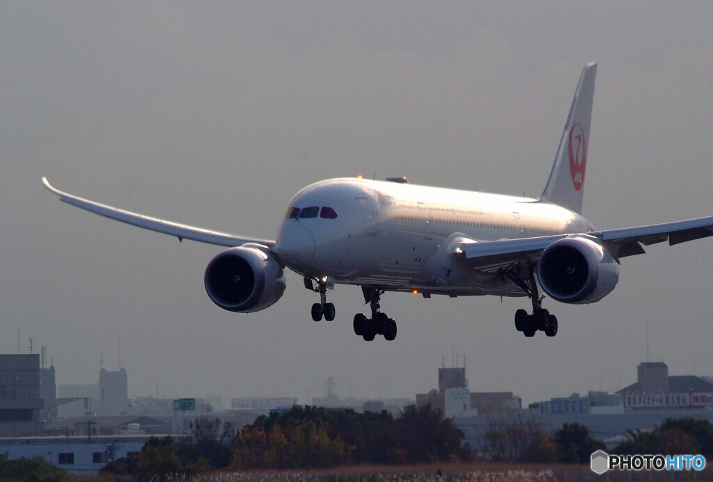 December wings✈耀き