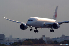 December wings✈耀き