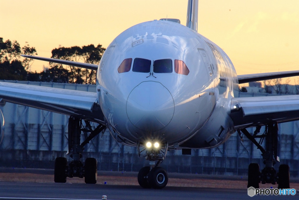 White Knight・Dreamliner 