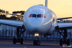 White Knight・Dreamliner 