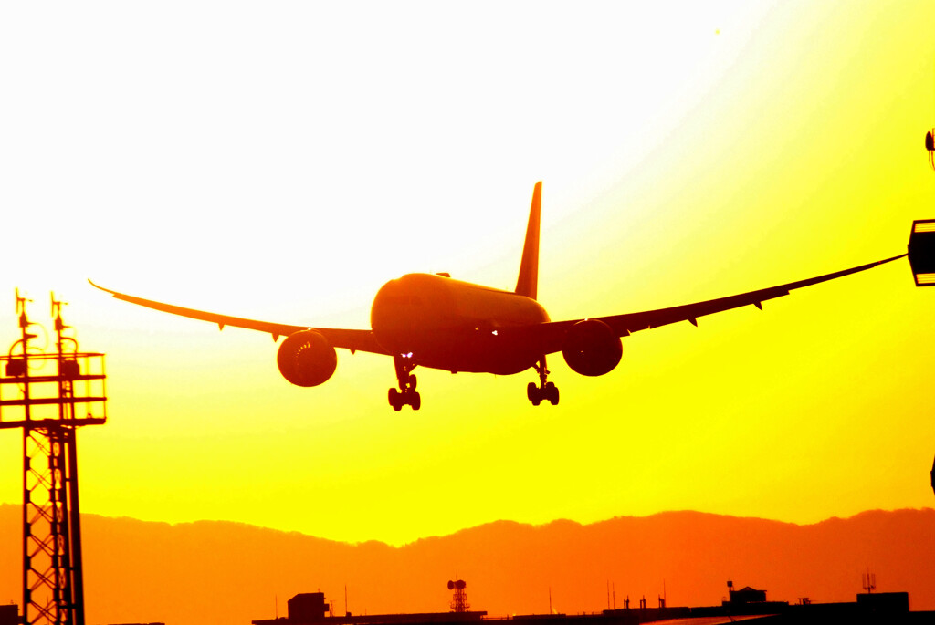 GOLDEN TIME✿Boring787-8