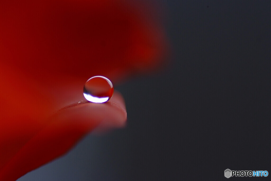 沈まぬ太陽✿祈り