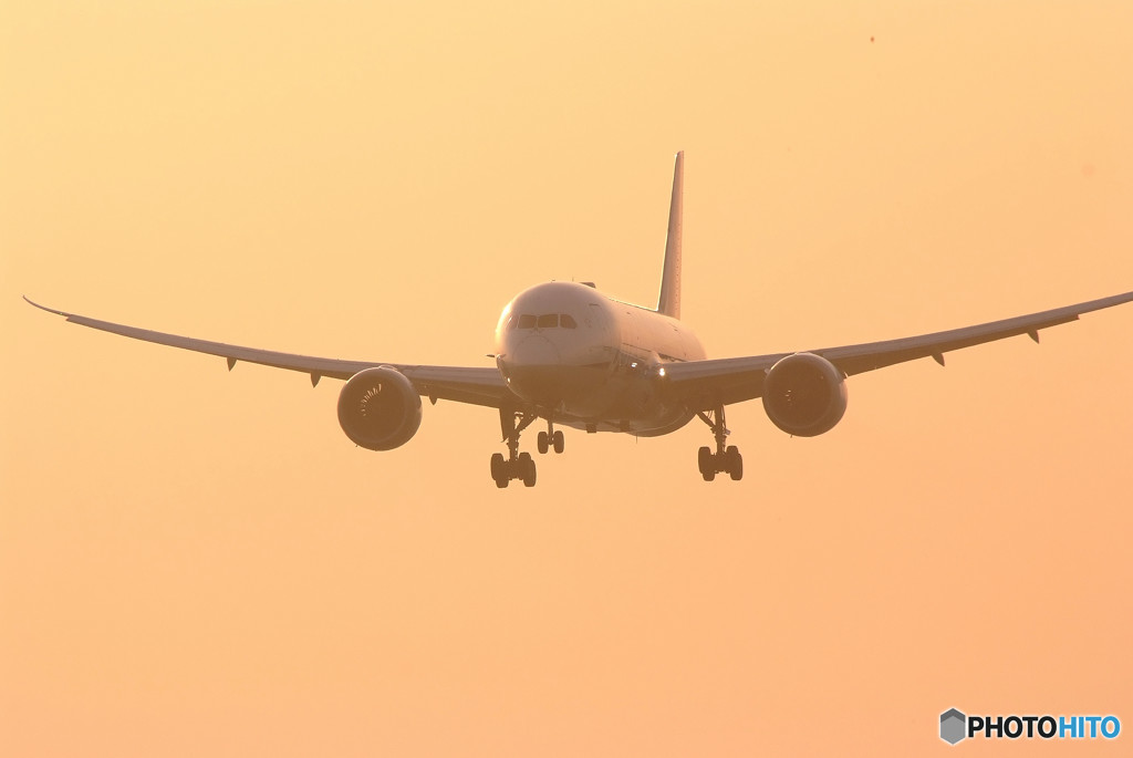 Best Time・Dreamliner