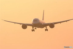 Best Time・Dreamliner