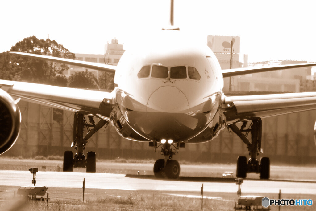 俺の夏✈Dreamliner