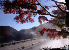MorningShower・紅葉