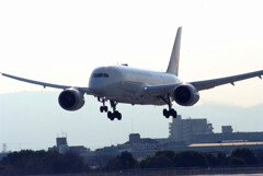 February TravelerⅦ✈JAL Dreamliner