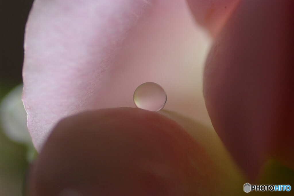 朧月・瞳