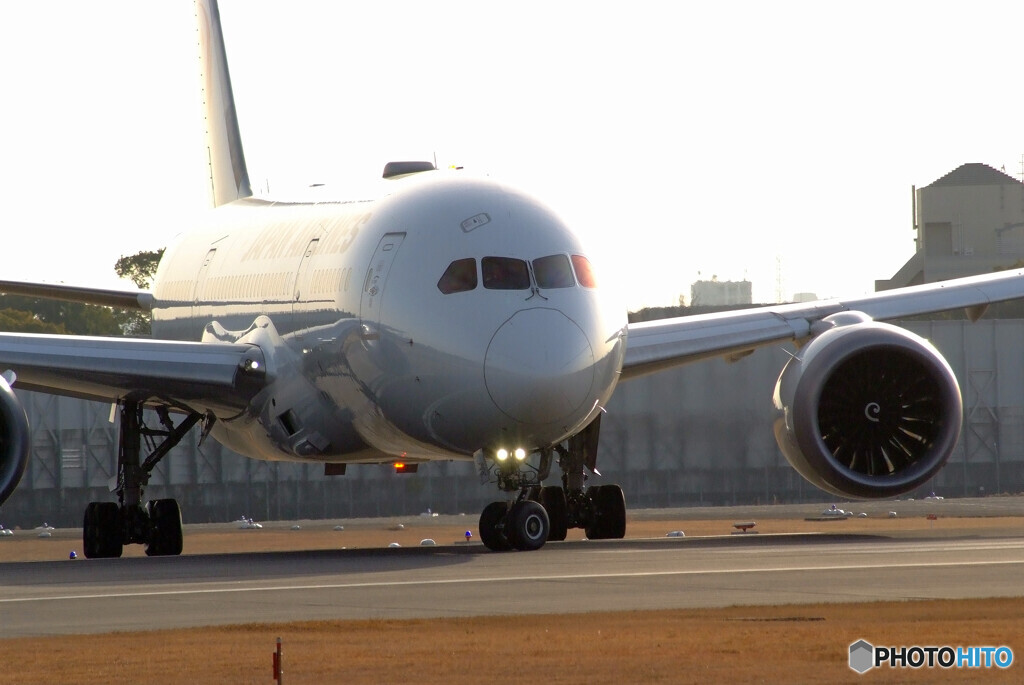Nice MorningⅣ☆JAL Boeing787-8