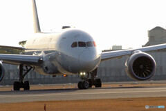 Nice MorningⅣ☆JAL Boeing787-8