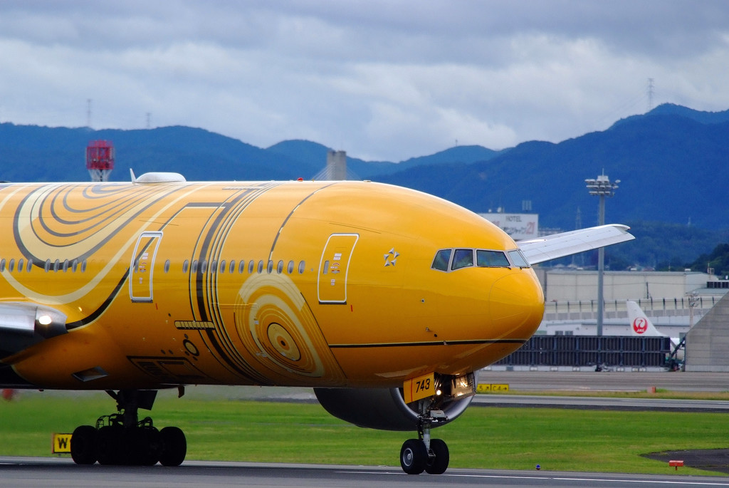 A gift from the North・（Ⅷ）