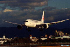 俺の空から★Boeing 787