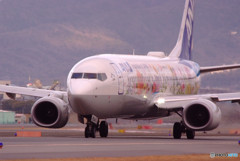 春の予感・FLOWER JET