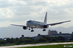 ９月の翼✈Boeing767-300