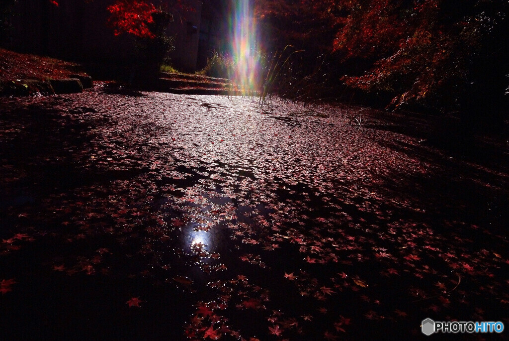 光芒の落葉✾水車小屋