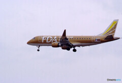 見上げれば★Embraer 175 (JA09FJ)