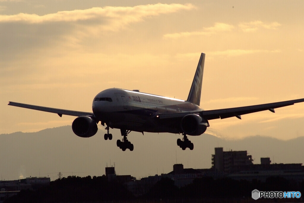 January TravelerⅡ★Boeing 777-200