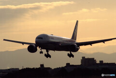 January TravelerⅡ★Boeing 777-200