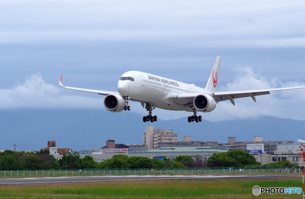 Afternoon Time✈A350