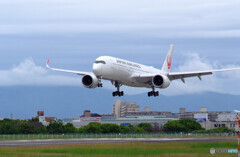 Afternoon Time✈A350