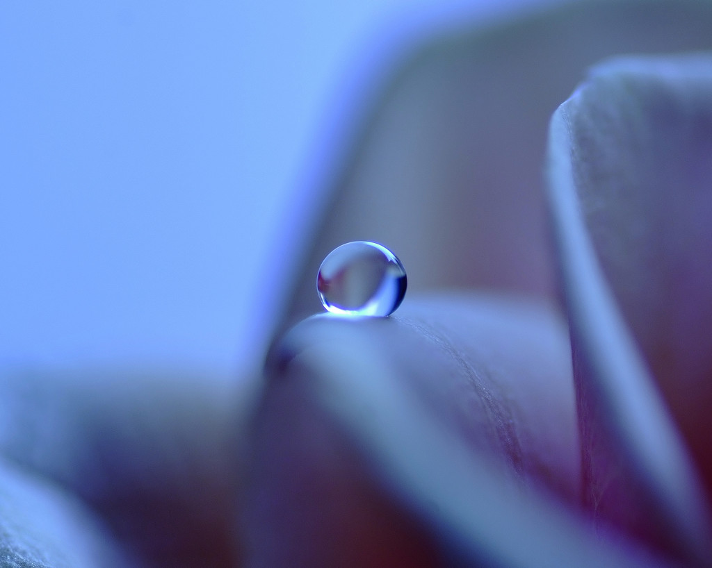 癒しの時間・Ⅱ