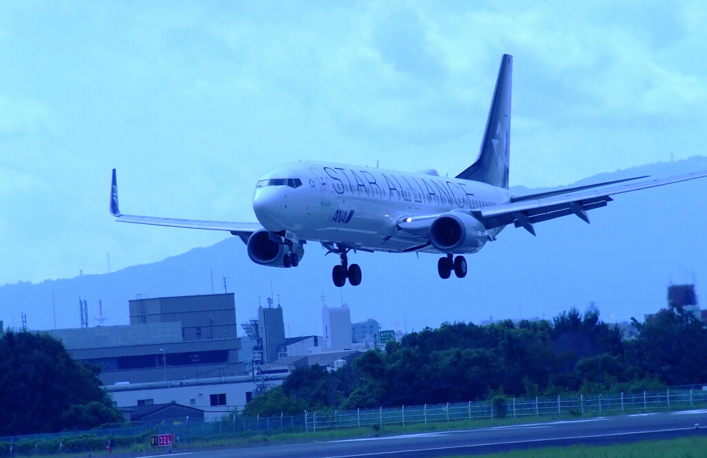 Traveler of AugustⅢ✈Boeing 737-800