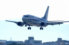 3月の青空・Dolphin