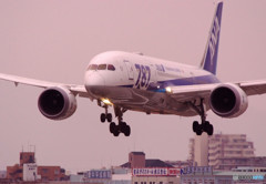 Gift of Spring・787