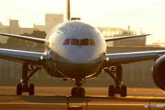 いい日旅立ち・787