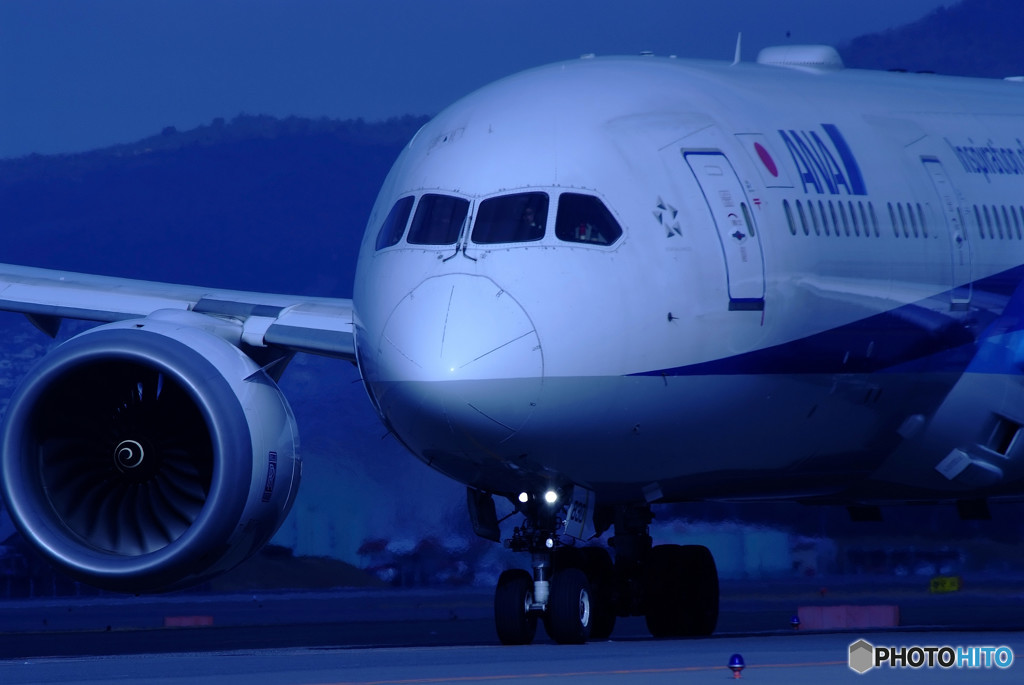 Morning BirdⅡ・787-9