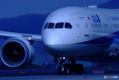 Morning BirdⅡ・787-9