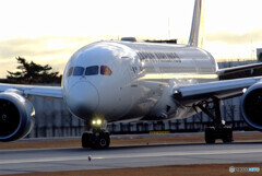 Airplane ParadiseⅢ✈Boeing 787-8