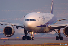 Morning glow・JA709A