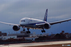 January Traveler✈ANA Boeing 787-8