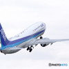 Happy Flight・時