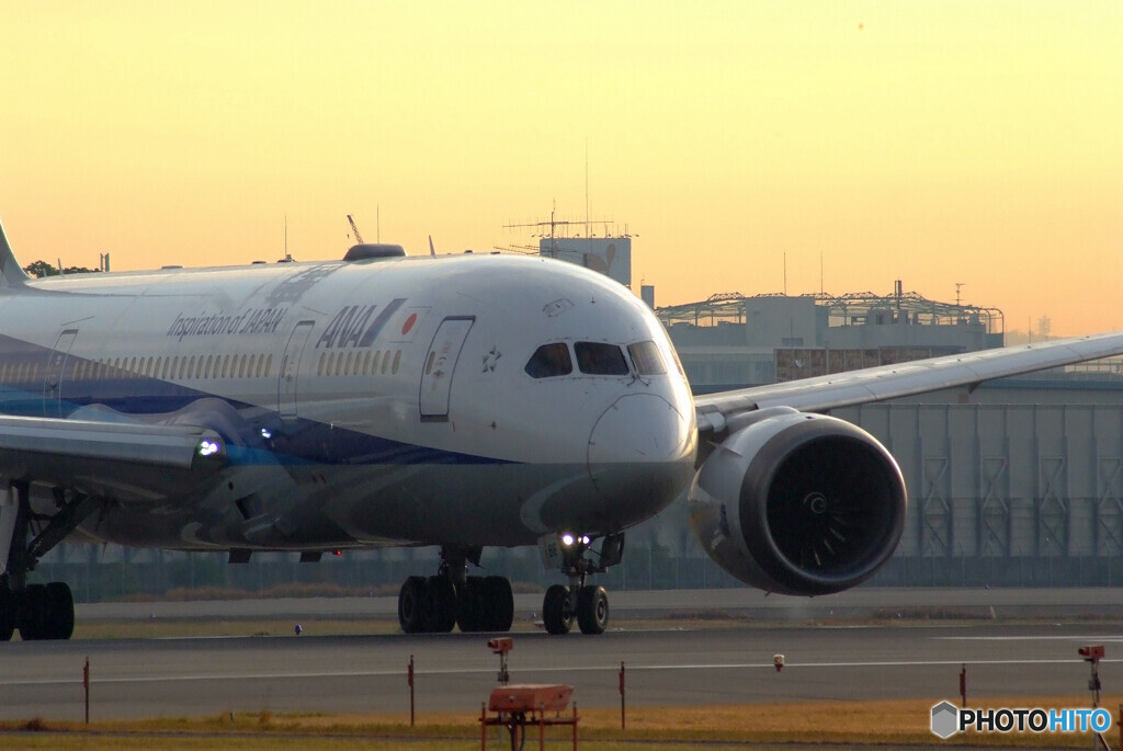 November MorningⅡ✈Boeing787-8