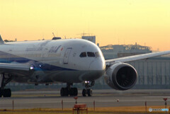 November MorningⅡ✈Boeing787-8