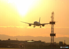 いつか君に追い風が✈Boeing 787