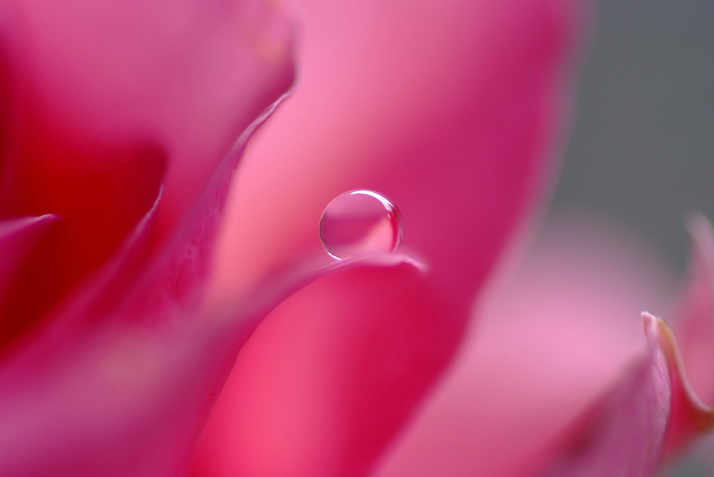 魔法の世界・雫