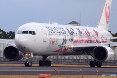 それぞれの旅路Ⅳ✈JA601J