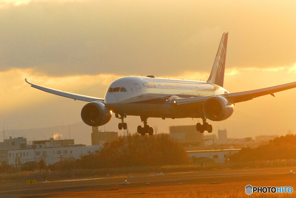 Morning of the 24thⅥ✈Dreamliner 