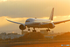 Morning of the 24thⅥ✈Dreamliner 