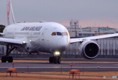 Japan Airlines is Proud