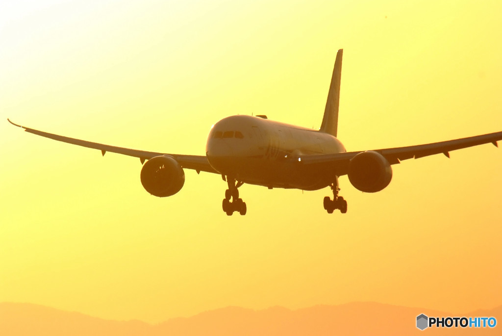 Prime Time・787