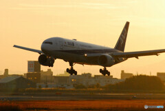 Morning on SaturdayⅡ✈Boeing 777-200
