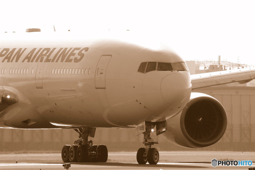 Morning ShowⅤ・JA009D