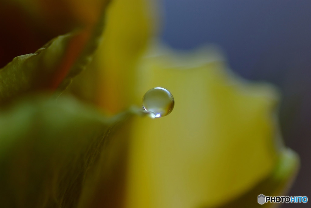 癒しの時間・雫
